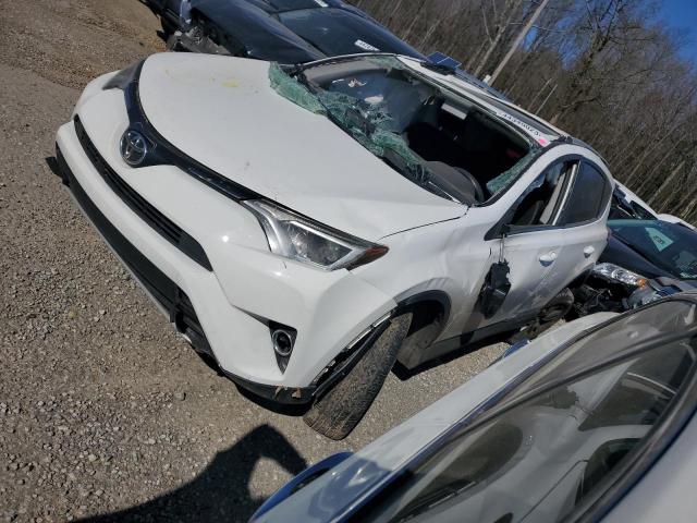TOYOTA RAV4 XLE 2016 with VIN 2T3WFREV1GW248801 - Photo from auction