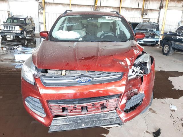 Photo 5 from auction – 2014 FORD ESCAPE SE with VIN 1FMCU0G9XEUD94799