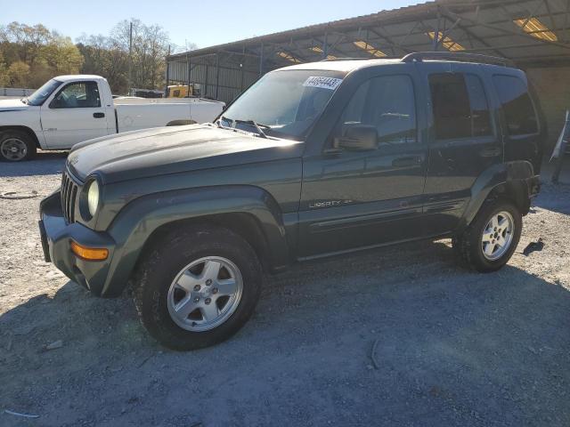 JEEP LIBERTY LI 2003 with VIN 1J4GL58K23W546321 - Photo from auction