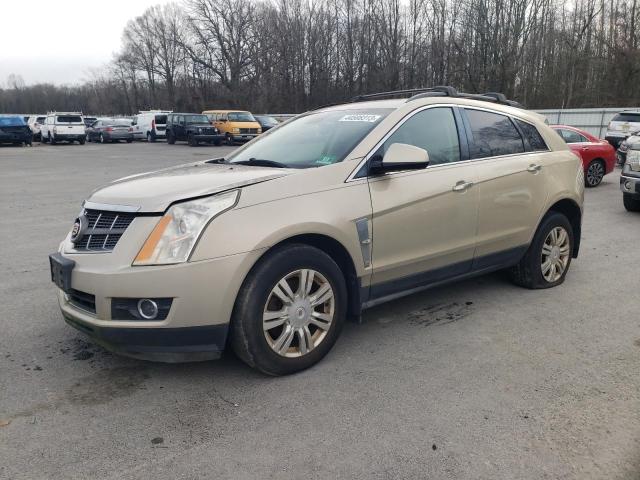 CADILLAC SRX 2012 with VIN 3GYFNGE35CS591781 - Photo from auction