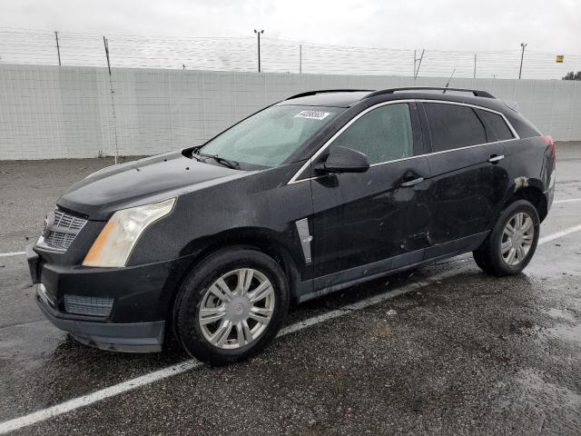 CADILLAC SRX 2011 with VIN 3GYFNGEY3BS549586 - Photo from auction