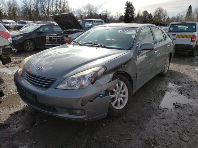 LEXUS ES 300 2002 with VIN JTHBF30G425016969 - Photo from auction