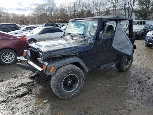 JEEP WRANGLER / 1998 with VIN 1J4FY49S0WP760924 - Photo from auction