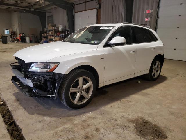 AUDI Q5 PREMIUM 2017 with VIN WA1M2AFPXHA071244 - Photo from auction
