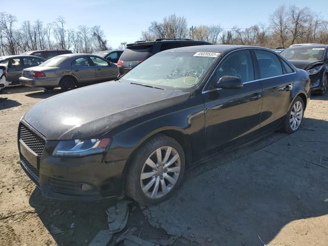 AUDI A4 PREMIUM 2010 with VIN WAUFFAFLXAN021195 - Photo from auction
