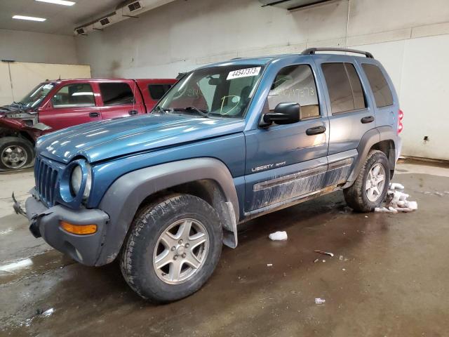 JEEP LIBERTY SP 2003 with VIN 1J4GL48K63W618681 - Photo from auction