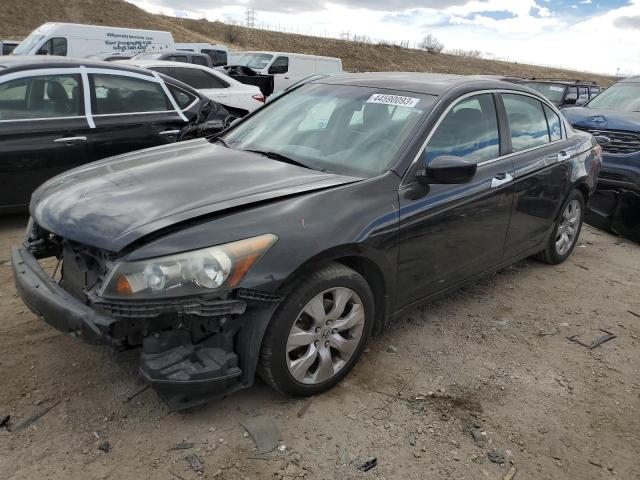 HONDA ACCORD EXL 2010 with VIN 5KBCP3F89AB002955 - Photo from auction