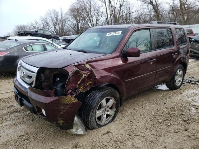 HONDA PILOT EXL 2011 with VIN 5FNYF4H55BB043861 - Photo from auction