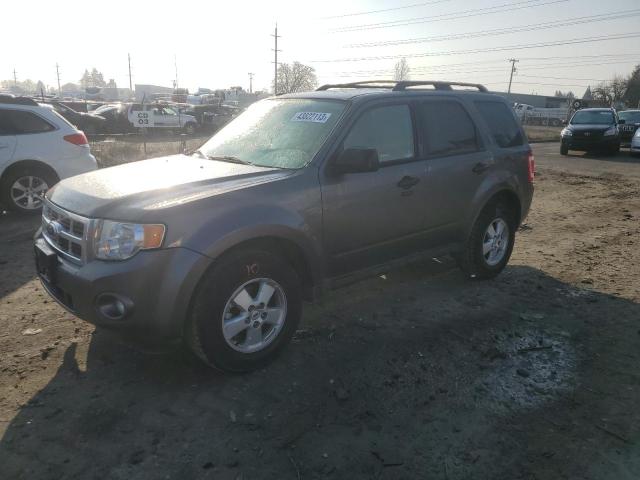 FORD ESCAPE XLT 2010 with VIN 1FMCU0D71AKB42383 - Photo from auction