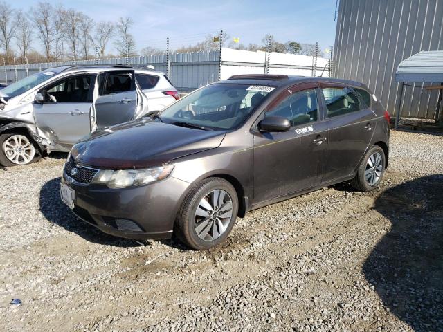 KIA FORTE EX 2013 with VIN KNAFU5A22D5694059 - Photo from auction