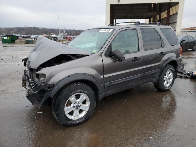 FORD ESCAPE XLT 2006 with VIN 1FMYU03136KC35559 - Photo from auction