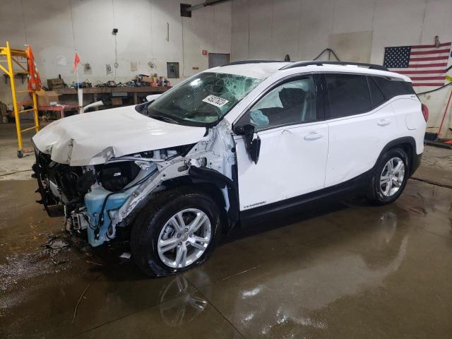 GMC TERRAIN SL 2019 with VIN 3GKALMEV3KL371753 - Photo from auction