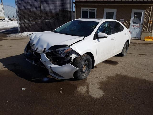 TOYOTA COROLLA L 2017 with VIN 2T1BURHE3HC881361 - Photo from auction