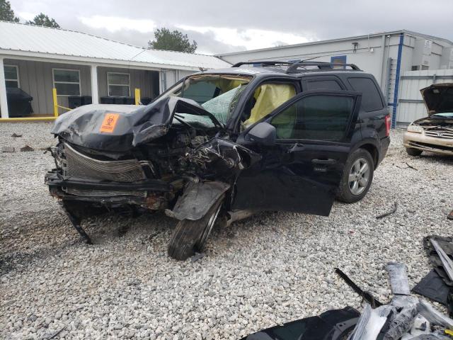 Photo 1 from auction – 2009 FORD ESCAPE XLT with VIN 1FMCU03G89KB13671