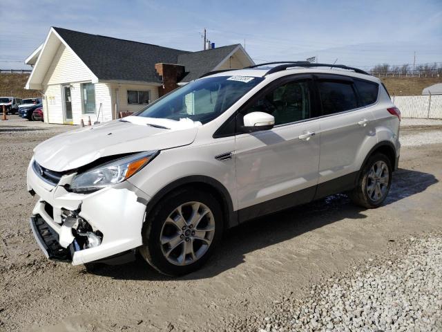 FORD ESCAPE SEL 2013 with VIN 1FMCU0HX0DUB21883 - Photo from auction
