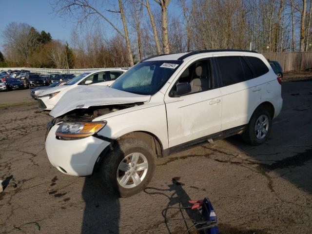 HYUNDAI SANTA FE G 2009 with VIN 5NMSG13D39H248071 - Photo from auction
