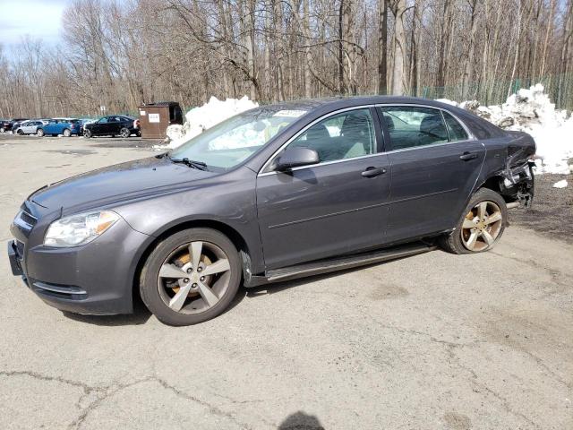 CHEVROLET MALIBU 1LT 2011 with VIN 1G1ZC5E15BF216870 - Photo from auction