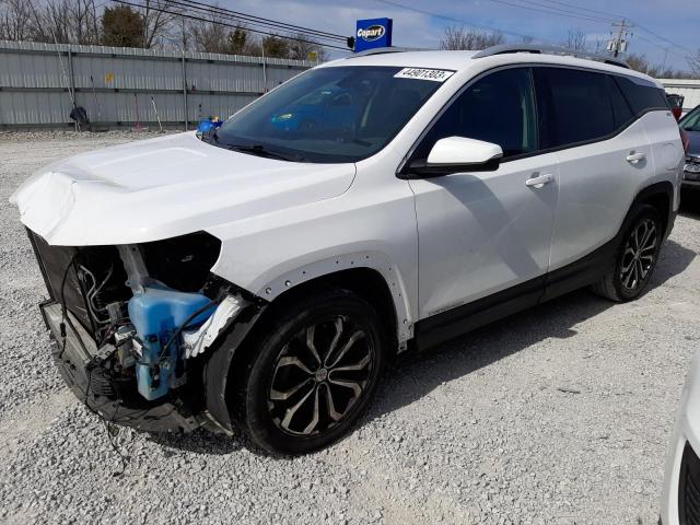 GMC TERRAIN SL 2019 with VIN 3GKALPEV9KL197964 - Photo from auction