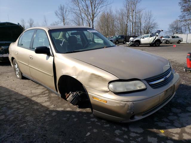 Photo 4 from auction – 2005 CHEVROLET CLASSIC with VIN 1G1ND52F75M208183