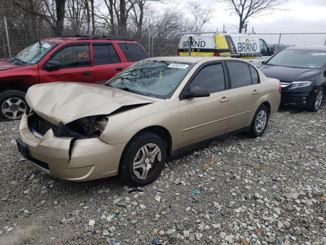 CHEVROLET MALIBU LS 2006 with VIN 1G1ZS51F76F284341 - Photo from auction