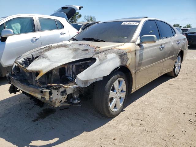 LEXUS ES 330 2005 with VIN JTHBA30G555093126 - Photo from auction