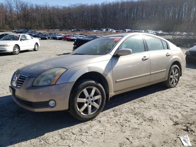 NISSAN MAXIMA SE 2006 with VIN 1N4BA41E06C847556 - Photo from auction