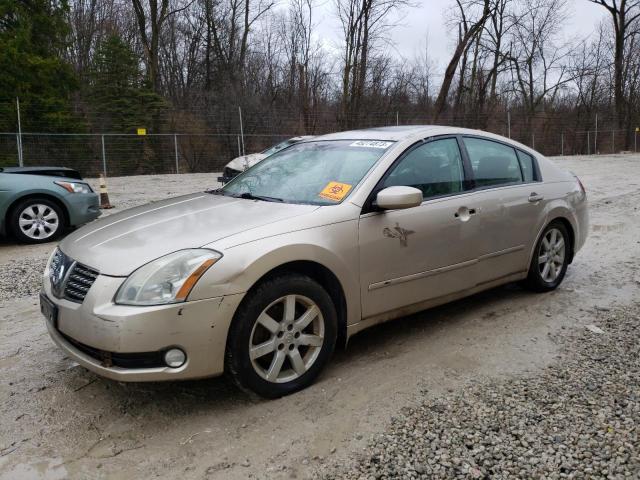 NISSAN MAXIMA SE 2006 with VIN 1N4BA41E16C846240 - Photo from auction