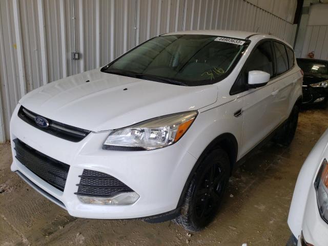 FORD ESCAPE SE 2013 with VIN 1FMCU9GX1DUC35655 - Photo from auction