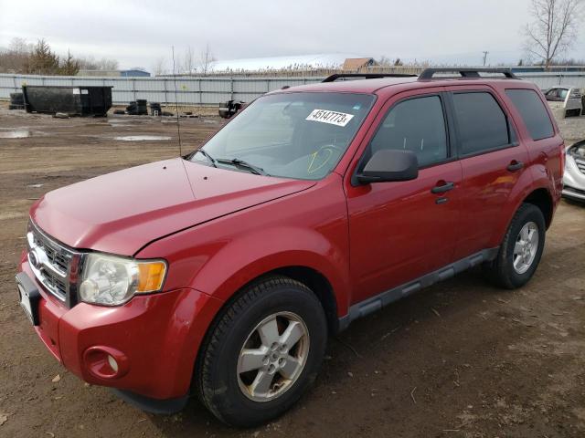 FORD ESCAPE XLT 2010 with VIN 1FMCU9DG2AKD10441 - Photo from auction