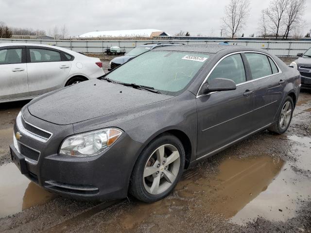 Photo 1 from auction – 2011 CHEVROLET MALIBU 1LT with VIN 1G1ZC5E14BF191721