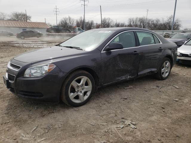 CHEVROLET MALIBU LS 2010 with VIN 1G1ZB5EB2AF228758 - Photo from auction