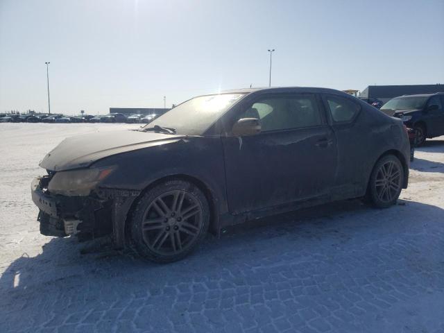 TOYOTA SCION TC 2011 with VIN JTKJF5C78B3011251 - Photo from auction