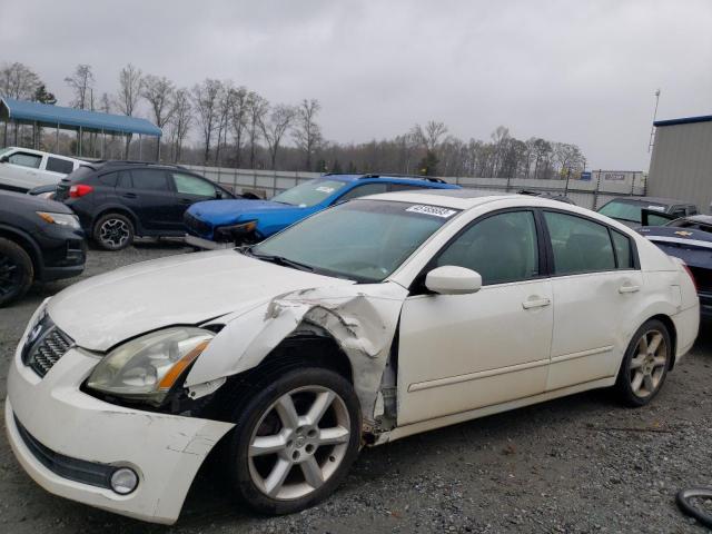 NISSAN MAXIMA SE 2004 with VIN 1N4BA41E24C889241 - Photo from auction