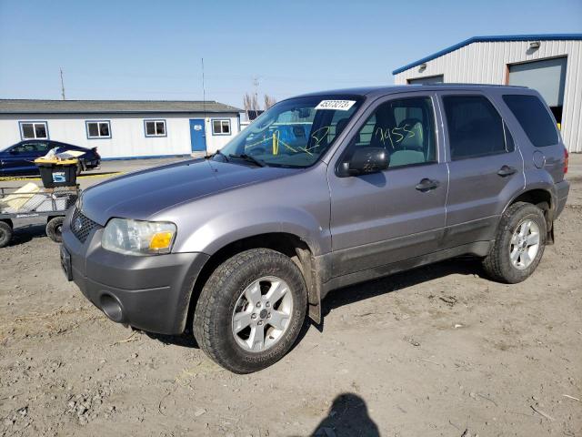 FORD ESCAPE XLT 2007 with VIN 1FMYU93107KA06892 - Photo from auction