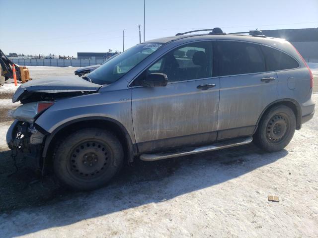 HONDA CR-V EX 2008 with VIN 5J6RE48538L802420 - Photo from auction