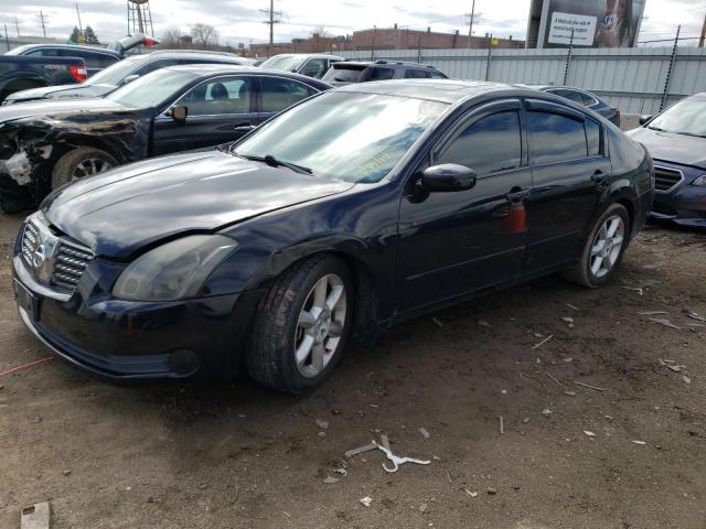 NISSAN MAXIMA SE 2004 with VIN 1N4BA41E14C923010 - Photo from auction