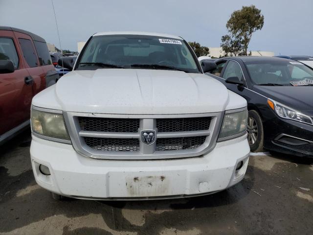 Photo 5 from auction – 2010 DODGE DAKOTA SXT with VIN 1D7CE3GK8AS139845