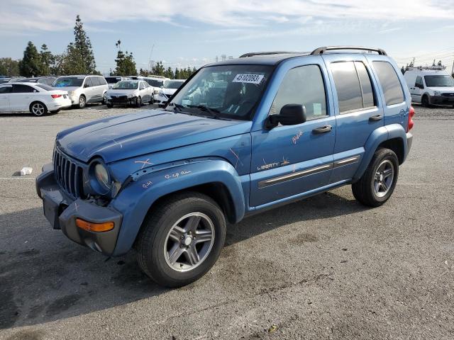 JEEP LIBERTY SP 2004 with VIN 1J4GL48K64W294973 - Photo from auction