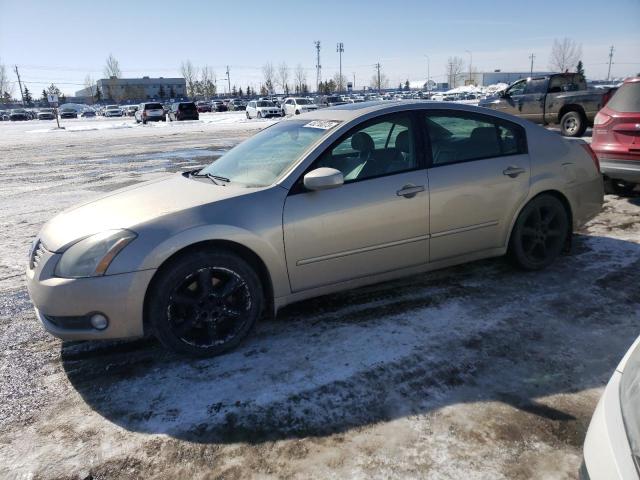 NISSAN MAXIMA SE 2005 with VIN 1N4BA41E95C849384 - Photo from auction