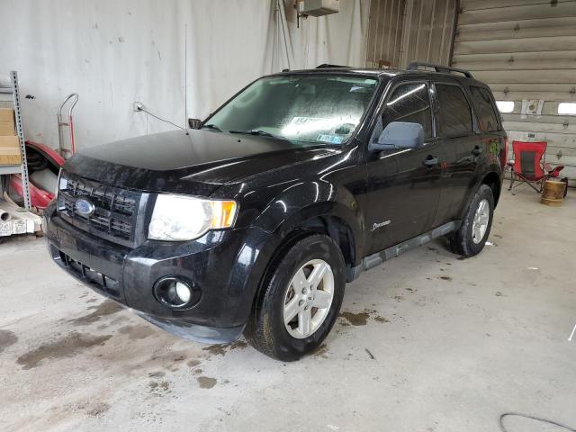 FORD ESCAPE HYB 2009 with VIN 1FMCU49319KD10368 - Photo from auction