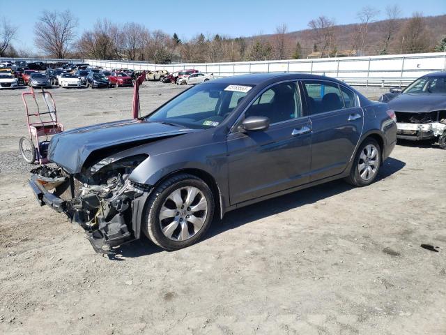 HONDA ACCORD EX 2010 with VIN 5KBCP3F76AB003813 - Photo from auction