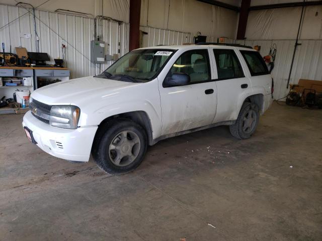 CHEVROLET TRAILBLAZE 2007 with VIN 1GNDT13S572229811 - Photo from auction