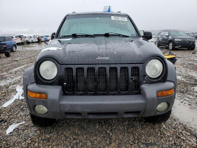 Photo 5 from auction – 2002 JEEP LIBERTY SP with VIN 1J4GL48K12W311370