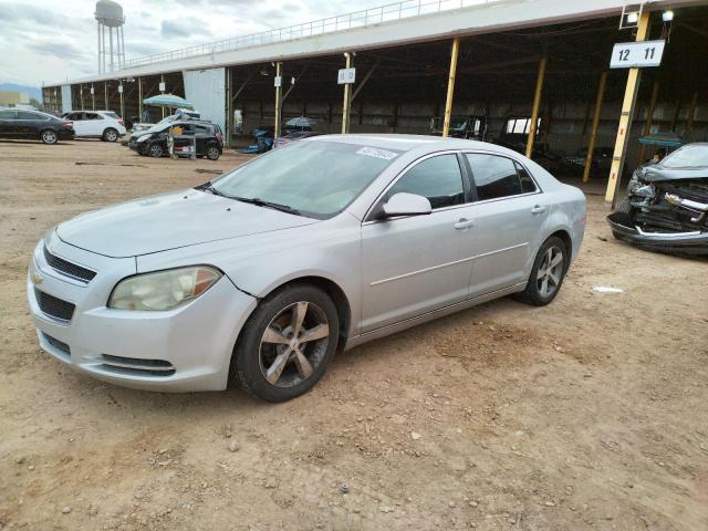 CHEVROLET MALIBU 1LT 2011 with VIN 1G1ZC5E19BF342942 - Photo from auction