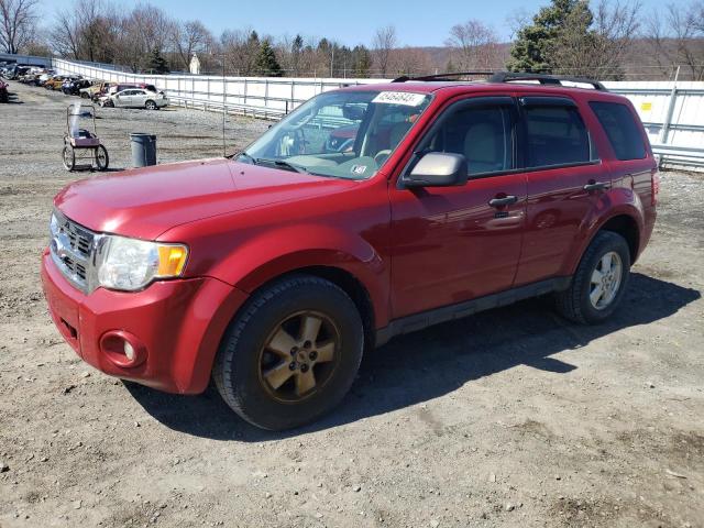 FORD ESCAPE XLT 2011 with VIN 1FMCU9D74BKB09433 - Photo from auction