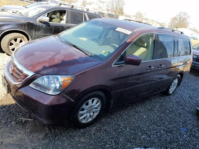 HONDA ODYSSEY EX 2008 with VIN 5FNRL38488B013356 - Photo from auction