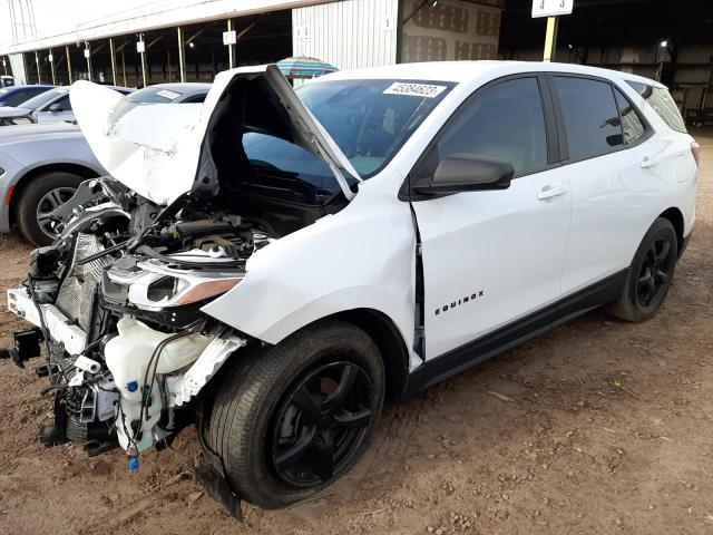 CHEVROLET EQUINOX LS 2020 with VIN 3GNAXHEVXLS557389 - Photo from auction