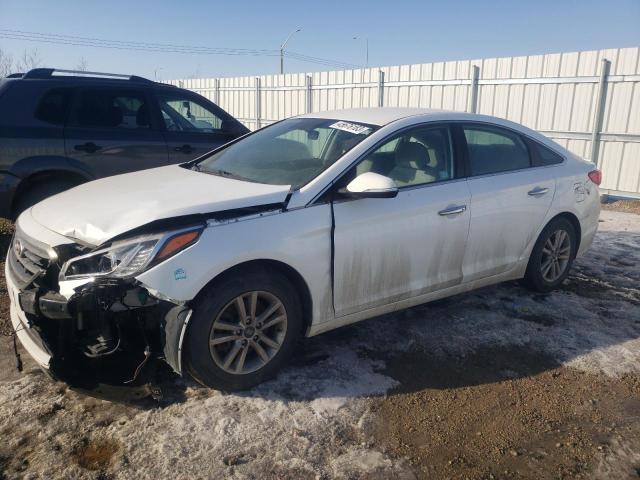 HYUNDAI SONATA SE 2015 with VIN 5NPE24AF4FH199348 - Photo from auction