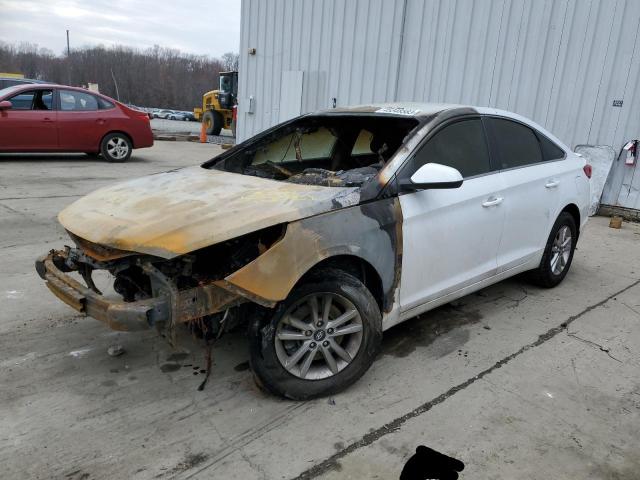 HYUNDAI SONATA SE 2015 with VIN 5NPE24AF4FH096981 - Photo from auction