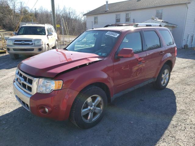 FORD ESCAPE LIM 2011 with VIN 1FMCU9EG7BKA25184 - Photo from auction